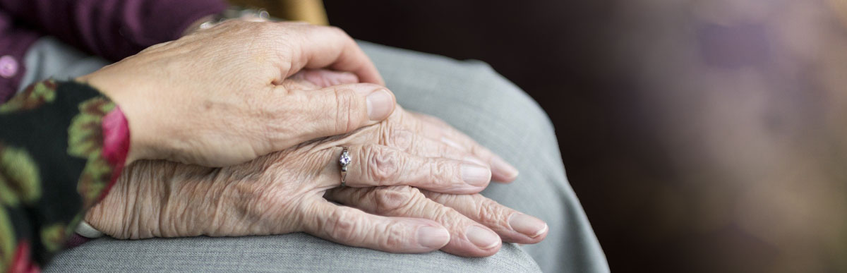 Seaview Home Care